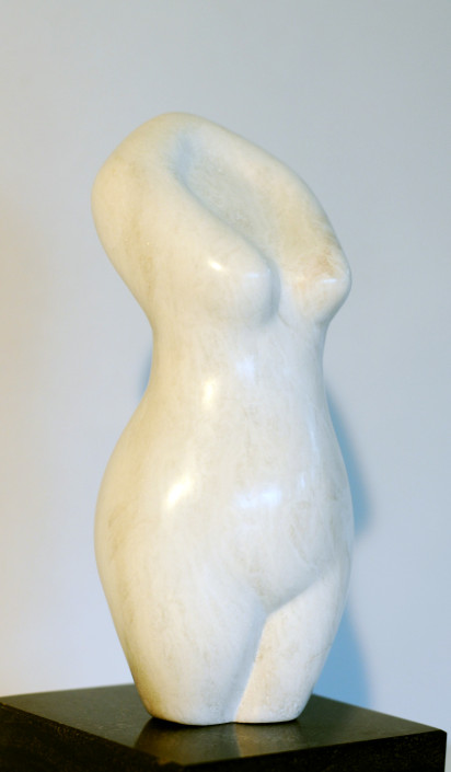 Freedom speksteen 20x10